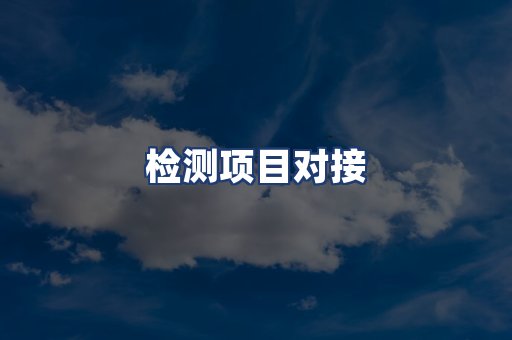 检测项目对接