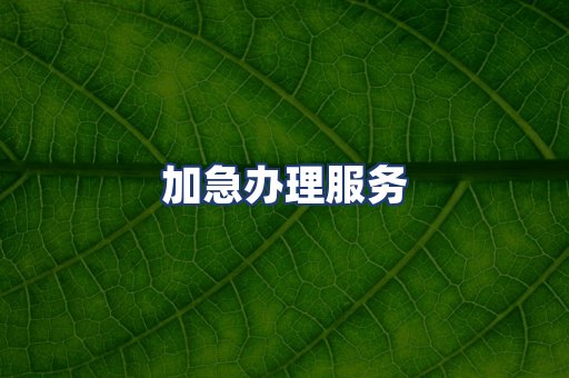 加急办理服务